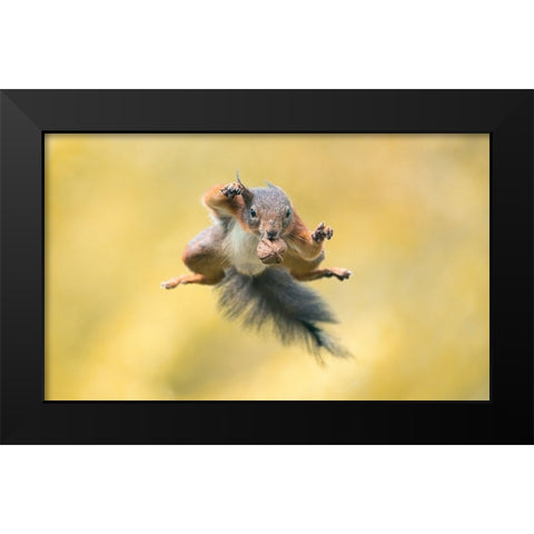 Ninja Style Black Modern Wood Framed Art Print by Colemont, Niki