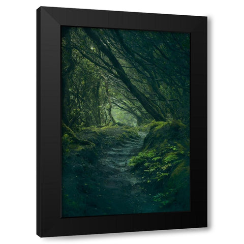 Entering Fangorn Black Modern Wood Framed Art Print with Double Matting by De La, Javier