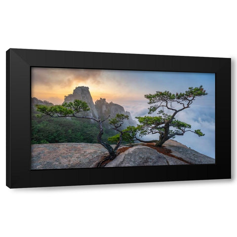 Dancing Trees Of Eden Black Modern Wood Framed Art Print by Ryu, Jaeyoun