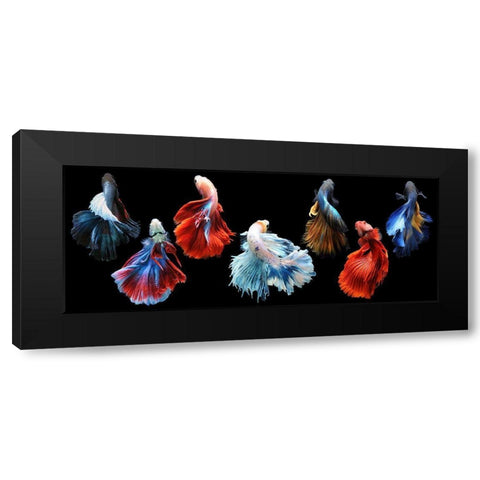 Betta Fish Black Modern Wood Framed Art Print with Double Matting by Priyadi, Andri