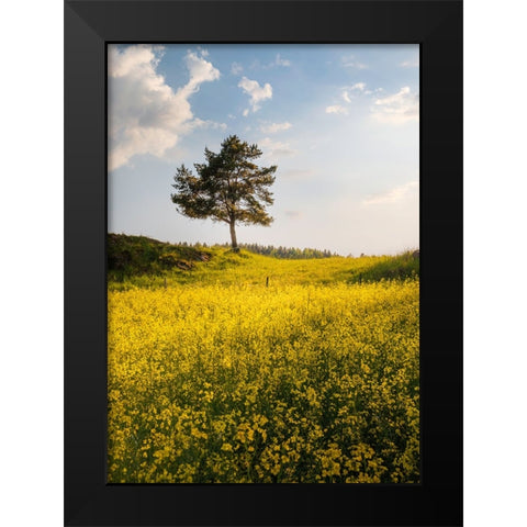 King Of The Hill Black Modern Wood Framed Art Print by Lindsten, Christian