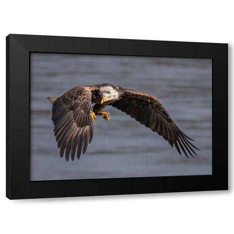 Terror Eyes Black Modern Wood Framed Art Print with Double Matting by J. Chen, John