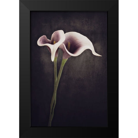 Bonded Black Modern Wood Framed Art Print by Kiral, Cicek