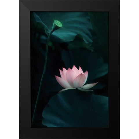 Lotus Flower Black Modern Wood Framed Art Print by W., Catherine