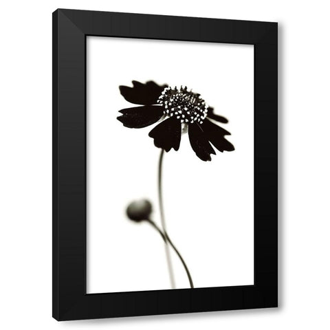 Once I Was A Black. Black Modern Wood Framed Art Print with Double Matting by Salem, Saad