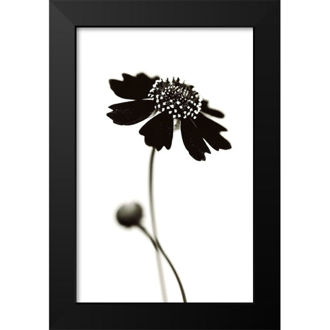 Once I Was A Black. Black Modern Wood Framed Art Print by Salem, Saad