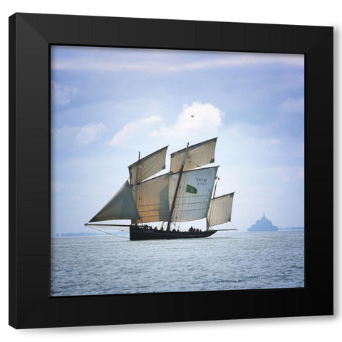 Boat-Bird And Mount Black Modern Wood Framed Art Print with Double Matting by Demoulin, Vincent