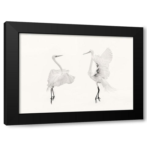 You And Me Black Modern Wood Framed Art Print with Double Matting by Zhao, Qing