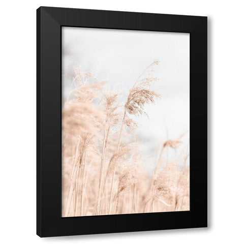 Grass Reed and sky_1 Black Modern Wood Framed Art Print by 1x Studio III