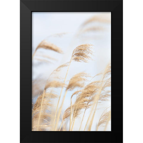 Grass Reed and sky_2 Black Modern Wood Framed Art Print by 1x Studio III