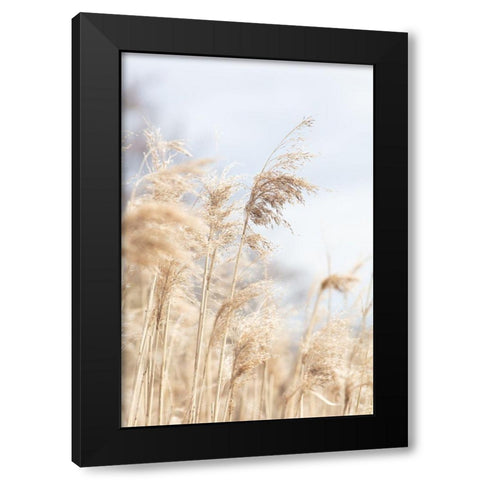 Grass Reed And Sky_3 Black Modern Wood Framed Art Print by 1x Studio III