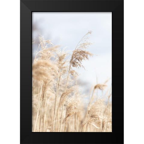 Grass Reed And Sky_3 Black Modern Wood Framed Art Print by 1x Studio III