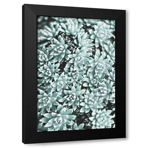 Plant Black Modern Wood Framed Art Print with Double Matting by 1x Studio III