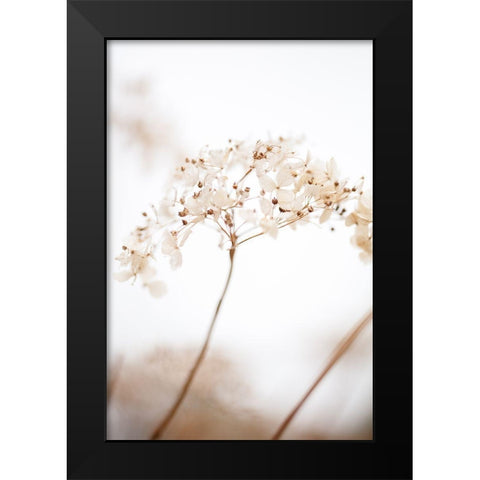 Soft Dried Flower_Brown Black Modern Wood Framed Art Print by 1x Studio III