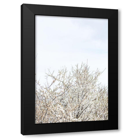 Cherry tree_1 Black Modern Wood Framed Art Print with Double Matting by 1x Studio III