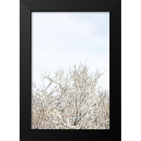 Cherry tree_1 Black Modern Wood Framed Art Print by 1x Studio III