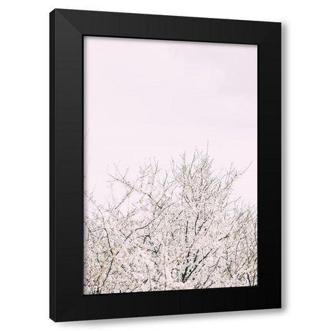 Cherry tree_2 Black Modern Wood Framed Art Print by 1x Studio III