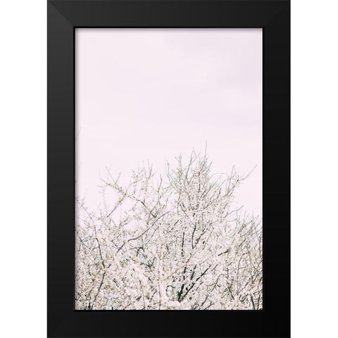 Cherry tree_2 Black Modern Wood Framed Art Print by 1x Studio III
