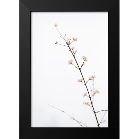 Twig with small flowers Black Modern Wood Framed Art Print by 1x Studio III