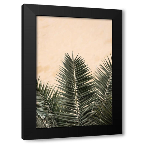 Palm Leaves And Wall_1 Black Modern Wood Framed Art Print with Double Matting by 1x Studio III