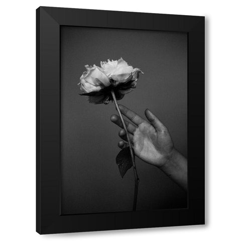 Peony Black Modern Wood Framed Art Print by Frolova, Antonida