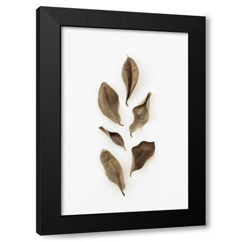 Dried Leaves_2 Black Modern Wood Framed Art Print with Double Matting by 1x Studio III