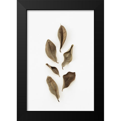 Dried Leaves_2 Black Modern Wood Framed Art Print by 1x Studio III