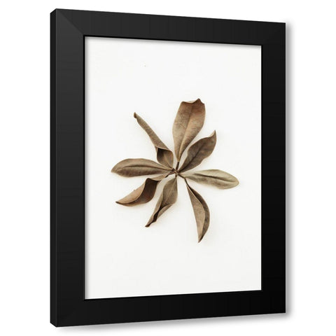 Dried Leaves_3 Black Modern Wood Framed Art Print with Double Matting by 1x Studio III