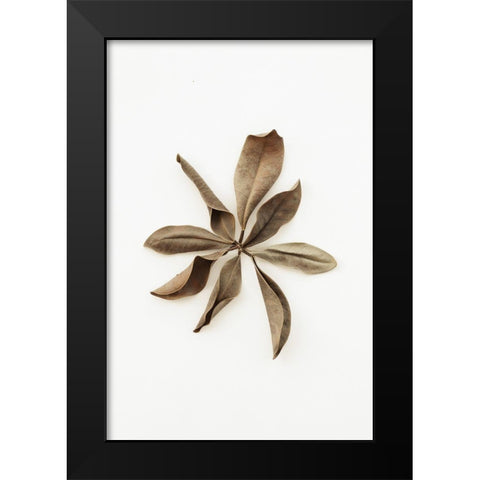 Dried Leaves_3 Black Modern Wood Framed Art Print by 1x Studio III