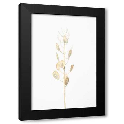 Solitary dried plant_light grey Black Modern Wood Framed Art Print with Double Matting by 1x Studio III