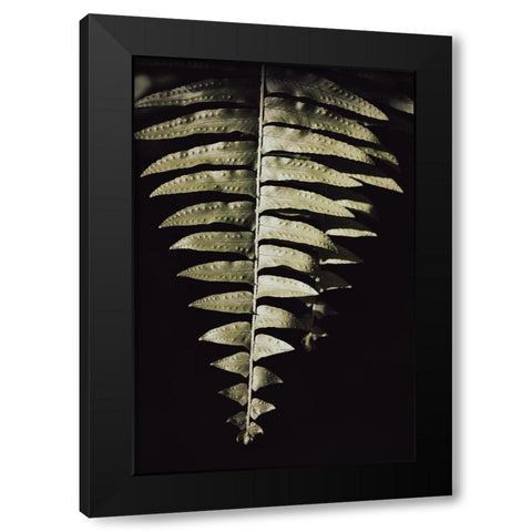 Fern Leaf Black Modern Wood Framed Art Print by 1x Studio III