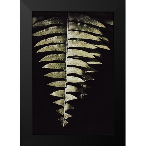 Fern Leaf Black Modern Wood Framed Art Print by 1x Studio III