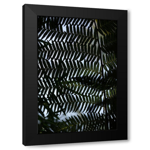 Fern Leaves_1 Black Modern Wood Framed Art Print by 1x Studio III