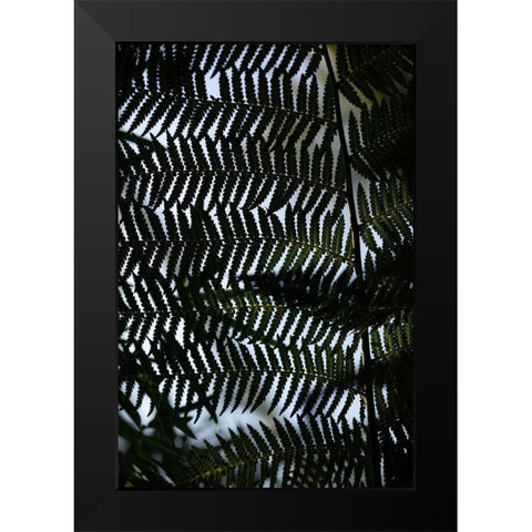 Fern Leaves_1 Black Modern Wood Framed Art Print by 1x Studio III
