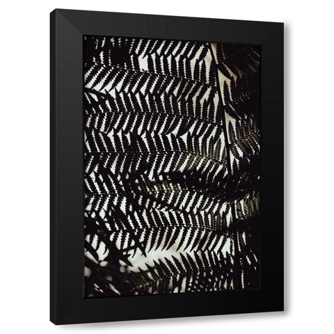 Fern Leaves_2 Black Modern Wood Framed Art Print by 1x Studio III