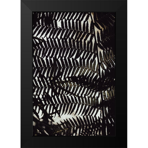 Fern Leaves_2 Black Modern Wood Framed Art Print by 1x Studio III