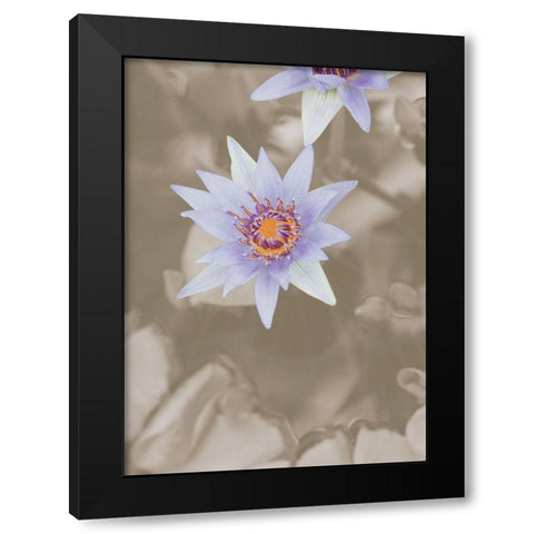 Purple Flower Black Modern Wood Framed Art Print with Double Matting by 1x Studio III