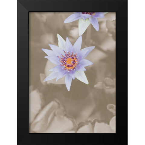 Purple Flower Black Modern Wood Framed Art Print by 1x Studio III