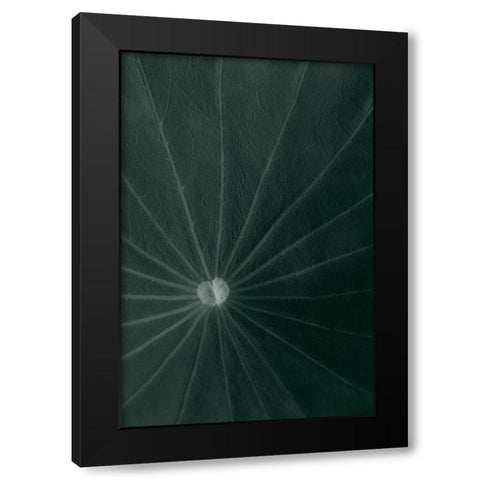 Dark green leaf Black Modern Wood Framed Art Print by 1x Studio III