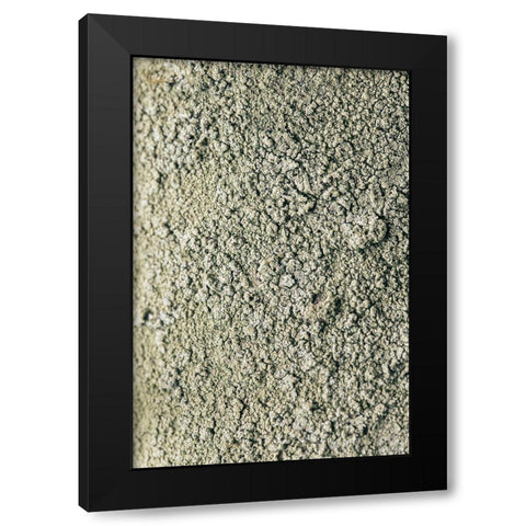 Moss Black Modern Wood Framed Art Print with Double Matting by 1x Studio III