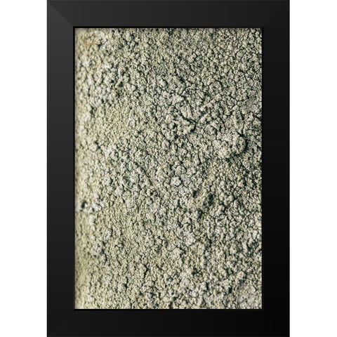 Moss Black Modern Wood Framed Art Print by 1x Studio III