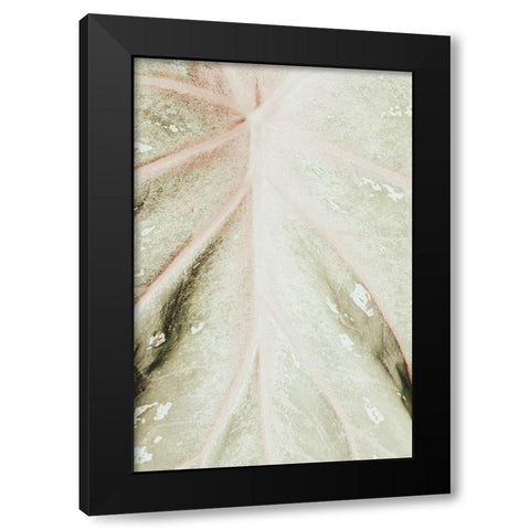 Light green leaf Black Modern Wood Framed Art Print by 1x Studio III