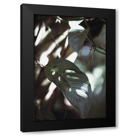 Monstrea Leaves Nature_1 Black Modern Wood Framed Art Print with Double Matting by 1x Studio III