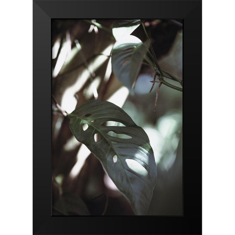 Monstrea Leaves Nature_1 Black Modern Wood Framed Art Print by 1x Studio III