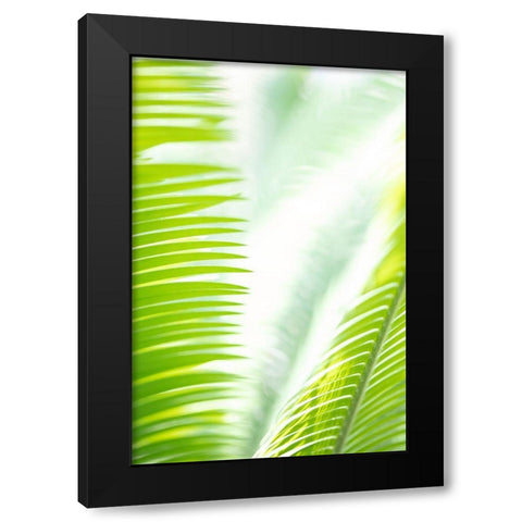 Light Palm tree leaves_1 Black Modern Wood Framed Art Print with Double Matting by 1x Studio III