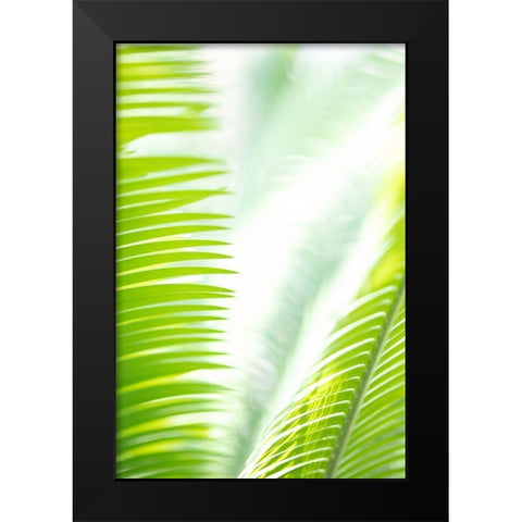 Light Palm tree leaves_1 Black Modern Wood Framed Art Print by 1x Studio III