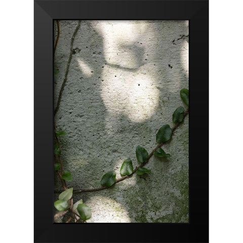 Wall-climbing plant Black Modern Wood Framed Art Print by 1x Studio III