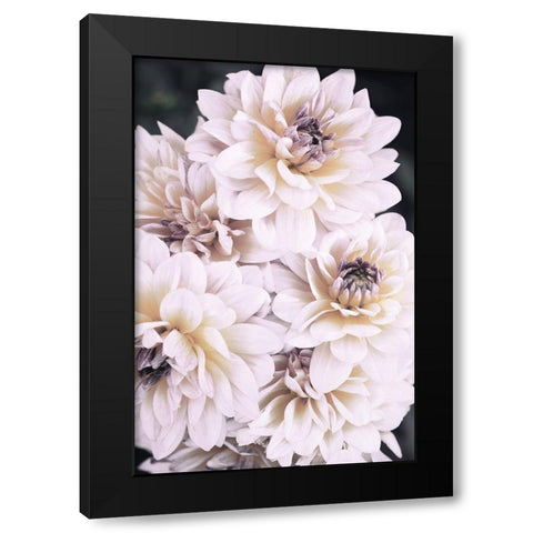 Pinkish Flowers Black Modern Wood Framed Art Print by 1x Studio III