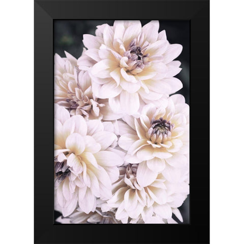 Pinkish Flowers Black Modern Wood Framed Art Print by 1x Studio III