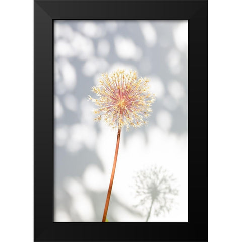 Withered flower-seed house_2 Black Modern Wood Framed Art Print by 1x Studio III